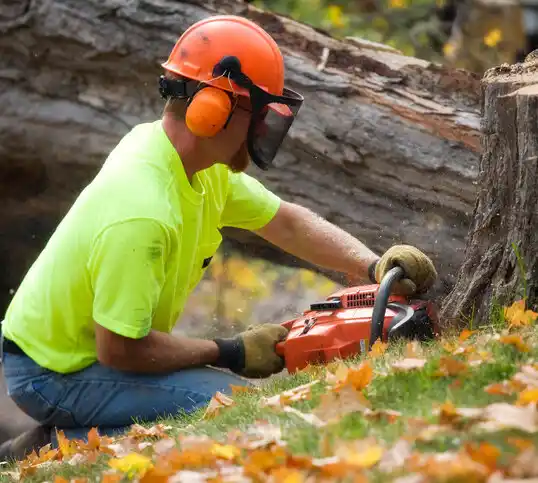 tree services West Valley